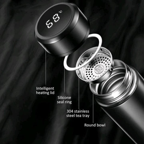 Smart LED Temperature Water Bottle